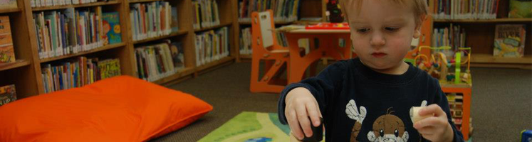 Support the Library